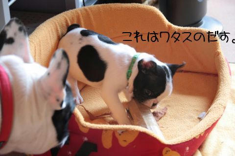 ワタスのおもちゃだす