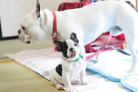 兄ちゃんと一緒