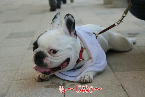 遊ぶ気になんねぇ～