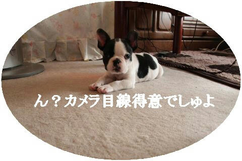 カメラ目線