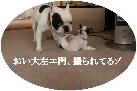 ん？撮られてる
