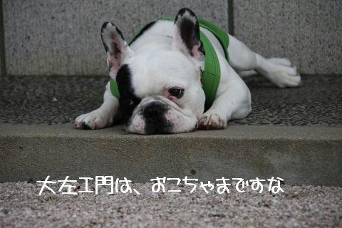 ぼやき