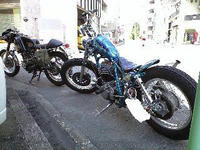 22195b8a.JPG