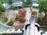 KC3A0195.JPG