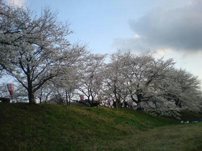 DSC00115.JPG