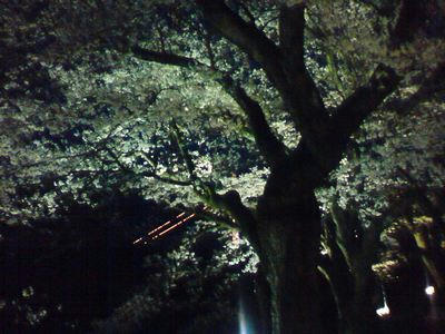 DSC00116.JPG