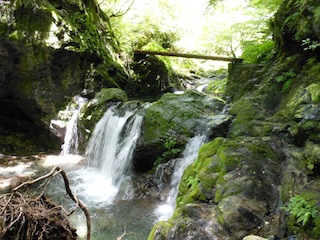 川苔山　登山道