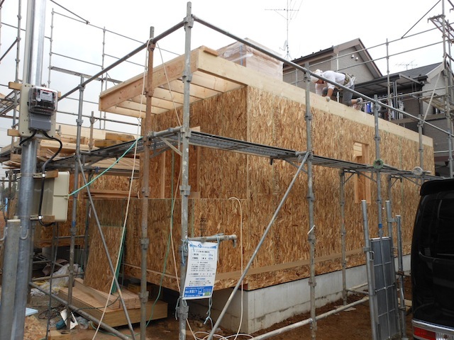 DSCN1454.JPG