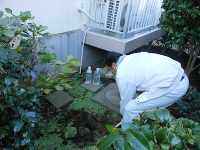 DSCN1513.JPG