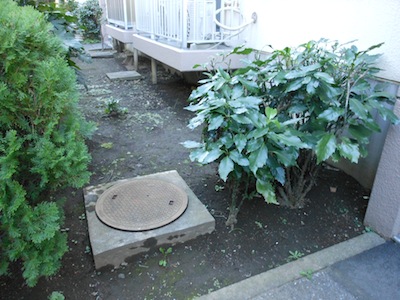 DSCN1514.JPG