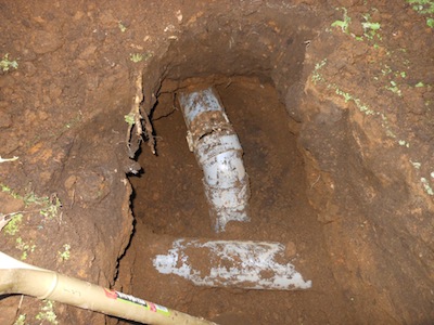 DSCN1515.JPG