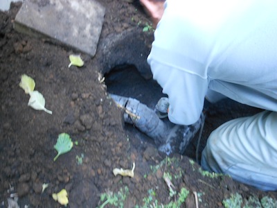 DSCN1519.JPG