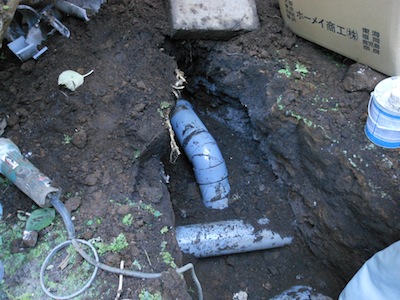 DSCN1522.JPG