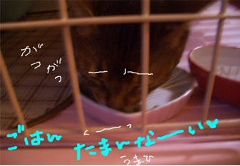 1f662551.jpg