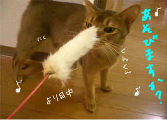 asobi.jpg