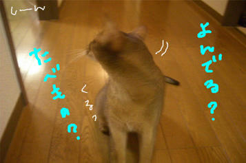 asobi2.jpg