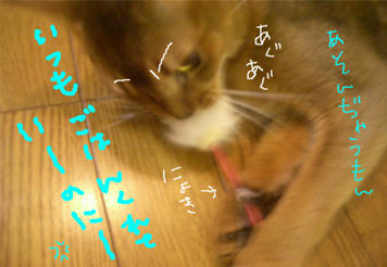 asobi3.jpg