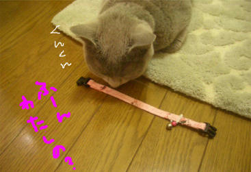 kubi2.jpg