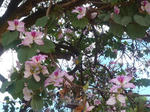 P1090056.JPG