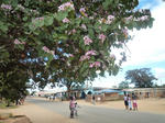P1090057.JPG