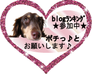 にほんブログ村 犬ブログ ミニチュアダックスフンドへ