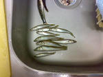 20120002.jpg