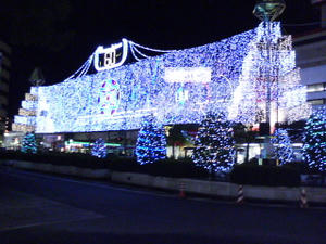 T0010023.jpg