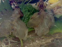 200807271280.jpg
