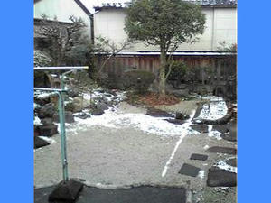 niwa.jpg