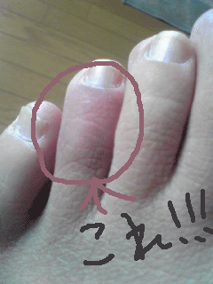 af73d030.gif