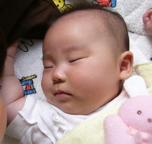P1010236.jpg