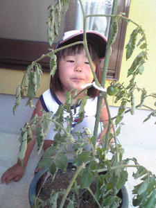 Image0931.jpg