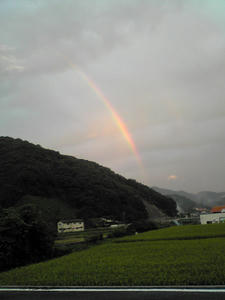 Image1017.jpg