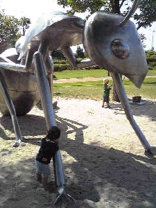 Image1531.gif