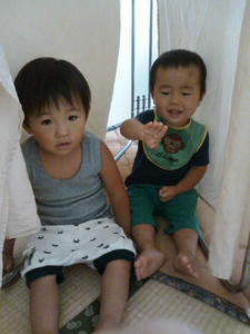 3432639c.jpg