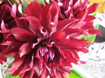 105_0637s.JPG
