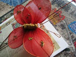 IMG_1017chouchou.JPG