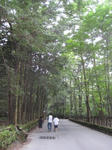 IMG_2130karuizawa.JPG