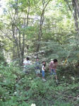 IMG_2087s.JPG