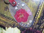 IMG_2164rose.JPG