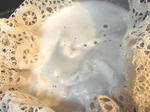 KIF_3678web.JPG