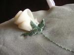 KIF_4791web.JPG