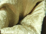 KIF_5734web.JPG