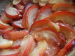 KIF_5765web.JPG