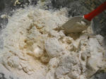 KIF_5730web.JPG