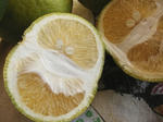 KIF_5771s.JPG