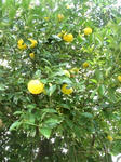 KIF_6201web.JPG
