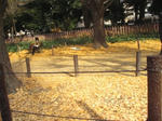 KIF_6514web.JPG