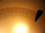 KIF_6545web.JPG