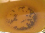 DSCF2475web.JPG